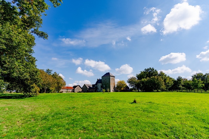achat vente Authentique Manoir a vendre  restauré , dépendances, puits Josselin  à 10 mn, Ploërmel à 15 mn, TGV à 40 mn (Vannes) MORBIHAN BRETAGNE