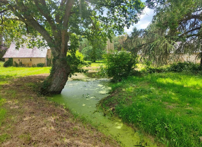 achat vente Propriété de caractère a vendre  , dépendances Bazouges sur le Loir  SARTHE PAYS DE LA LOIRE