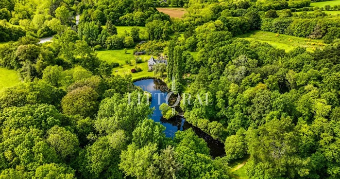 achat vente Moulin à eau a vendre  restauré , grand étang Lannion  et TVG à 20 mn, 10 mn plages, havre de paix COTES D'ARMOR BRETAGNE