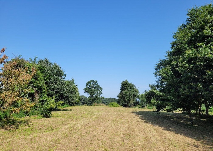 achat vente Maison ancienne a vendre  en pierre  Le Teilleul  MANCHE NORMANDIE