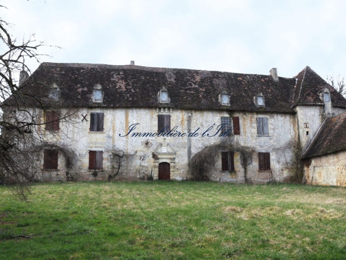achat vente Château a vendre  à restaurer , dépendances Périgueux  à 15 km, au coeur d’un paysage vallonné AQUITAINE DORDOGNE