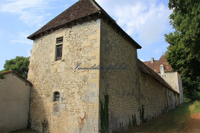 achat vente Château a vendre  à restaurer , dépendances Périgueux  à 15 km, au coeur d’un paysage vallonné AQUITAINE DORDOGNE
