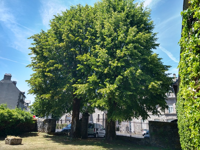 achat vente Manoir a vendre  en très bon état , dépendance Allanche , à 15 mn, 40 mn A75, coeur de village CANTAL AUVERGNE