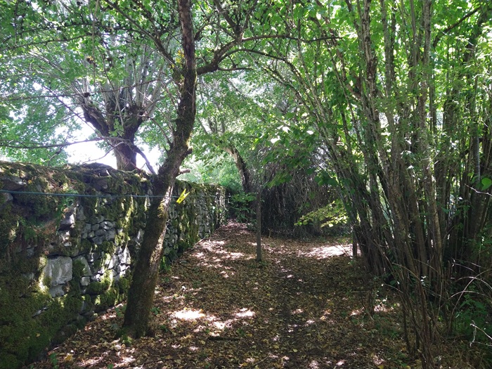 achat vente Manoir a vendre  en très bon état , dépendance Allanche , à 15 mn, 40 mn A75, coeur de village CANTAL AUVERGNE