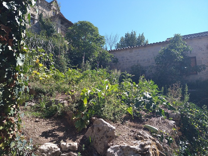 achat vente Demeure de Maître Artisan a vendre  à restaurer , puits Figeac  à 30 mn, vallée du Célé LOT MIDI PYRENEES