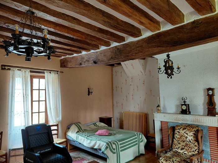 achat vente Ancienne Moulin a vendre  restauré , dépendances, grande mare Châtillon-sur-Indre , dans un écrin de verdure INDRE CENTRE