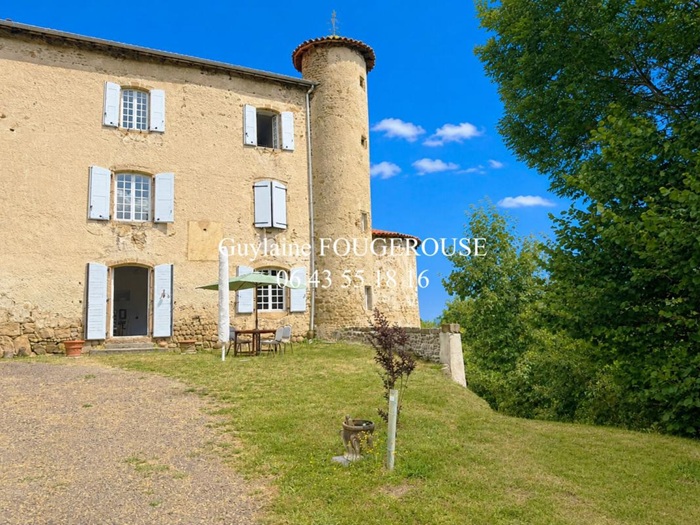 achat vente Partie de Château a vendre  , dépendances, grande mare Ambert , à 30 mn, 1h30 de Lyon PUY DE DOME AUVERGNE