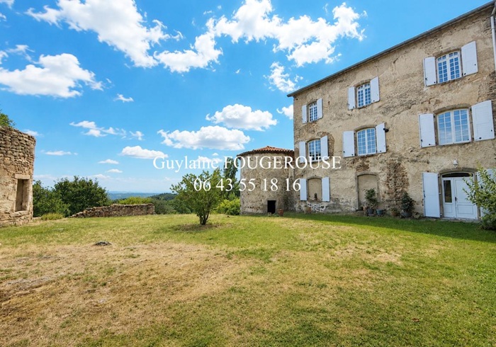 achat vente Partie de Château a vendre  , dépendances, grande mare Ambert , à 30 mn, 1h30 de Lyon PUY DE DOME AUVERGNE