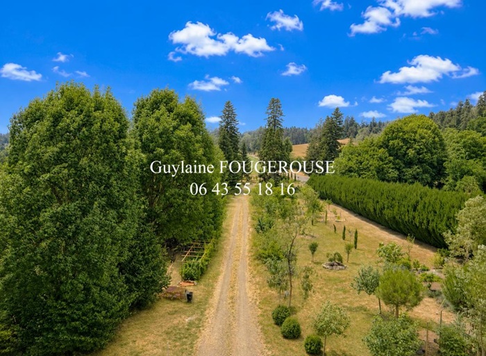 achat vente Partie de Château a vendre  , dépendances, grande mare Ambert , à 30 mn, 1h30 de Lyon PUY DE DOME AUVERGNE
