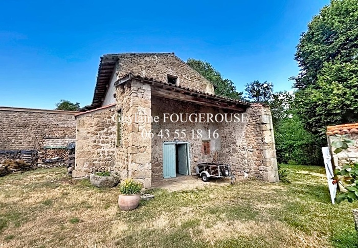 achat vente Partie de Château a vendre  , dépendances, grande mare Ambert , à 30 mn, 1h30 de Lyon PUY DE DOME AUVERGNE