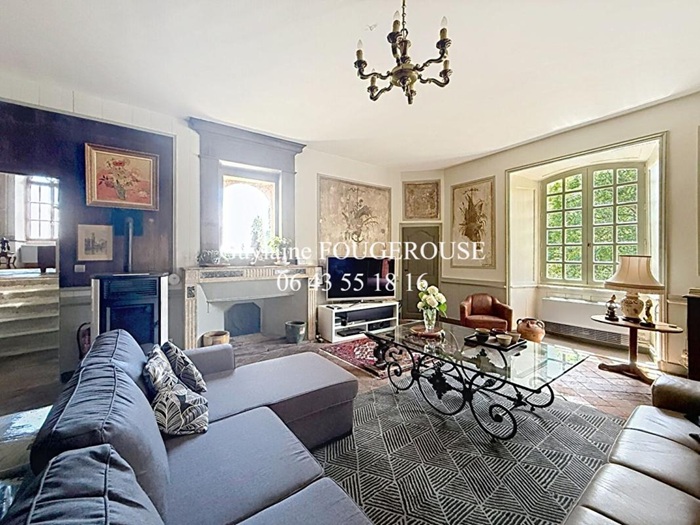 achat vente Partie de Château a vendre  , dépendances, grande mare Ambert , à 30 mn, 1h30 de Lyon PUY DE DOME AUVERGNE