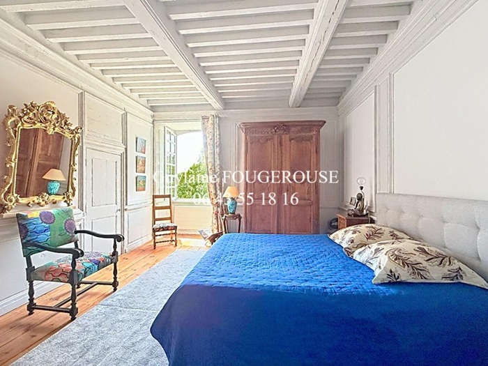 achat vente Partie de Château a vendre  , dépendances, grande mare Ambert , à 30 mn, 1h30 de Lyon PUY DE DOME AUVERGNE