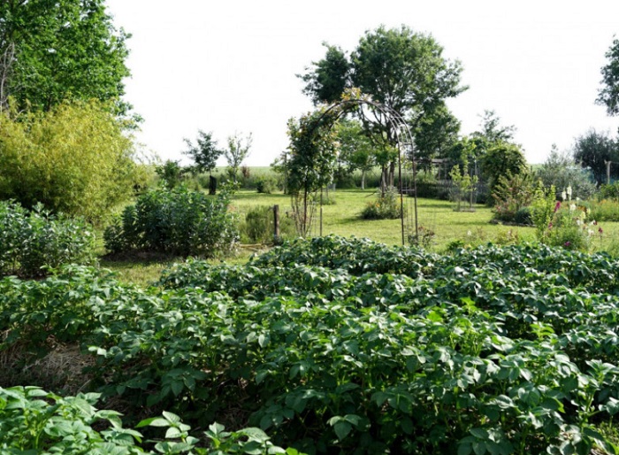 achat vente Demeure ancienne a vendre , partie d'un ancien couvent  Fleurance  GERS MIDI PYRENEES