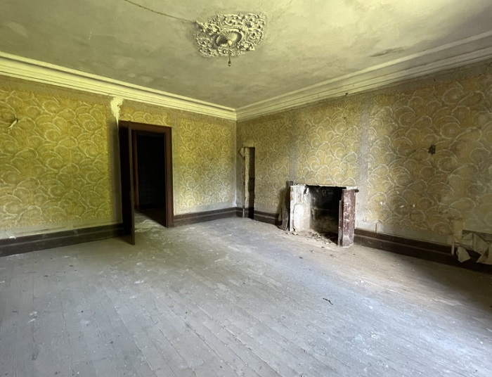 achat vente Château a vendre  , dépendances Gensac  GIRONDE AQUITAINE