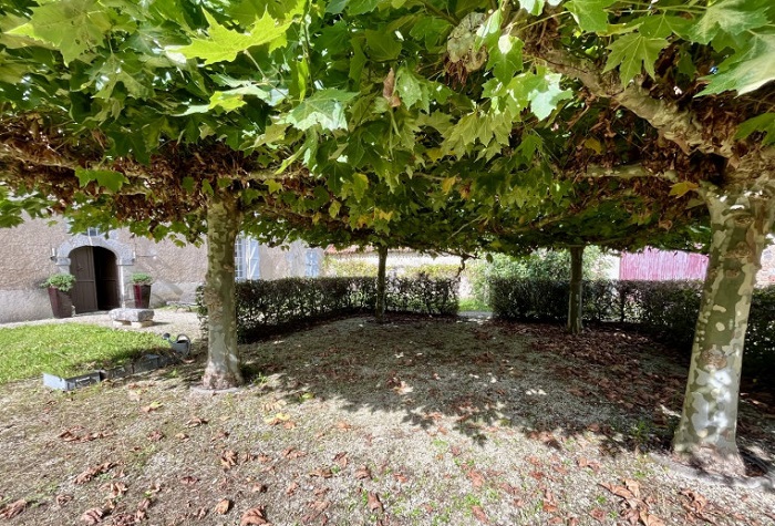 achat vente Maison de Maître a vendre  , dépendances, pigeonnier, piscine Luchapt  VIENNE POITOU CHARENTES