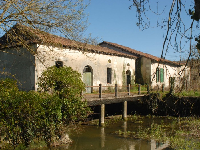 achat vente Ancien Moulin a vendre  à restaurer , dépendances Courlac ,  entre Chalais et Montmoreau CHARENTE POITOU CHARENTES