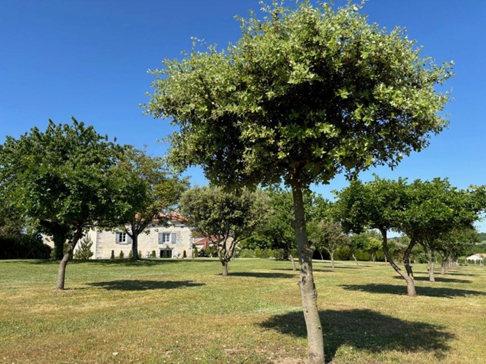 achat vente Demeure de caractère a vendre  entièrement restaurée , dépendances, puits Cherval , entre Riberac et Angoulême, lisère d’un petit hameau DORDOGNE AQUITAINE